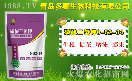 山竹作用與功效有哪些？如何挑選山竹？