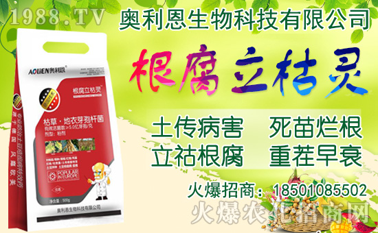 ���[���ʩ�ʣ����[�Nֲ���������N�r�g��