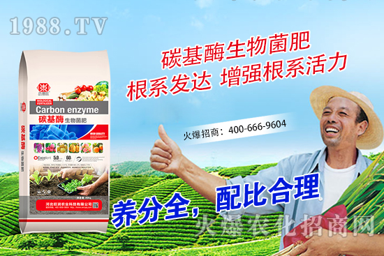 山竹如何繁殖?山竹種植條件及技術(shù)要點(diǎn)!