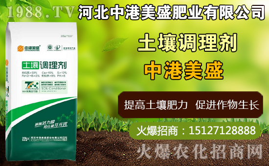 中藥太子參什么時(shí)間種植,太子參什么時(shí)候收獲更好(附種植技術(shù))