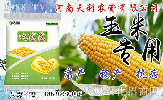 種人參果到底掙不掙錢(qián)?種植前景如何?人參果種子怎么種?