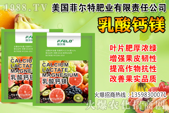 ���Ѳ��պ���α��r�����Ѳ��պ���@ע����헣�