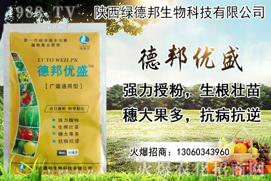 �����r������Xһ���������Nֲ�ĭh(hu��n)�������x������