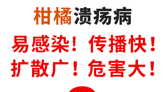 枯草芽孢桿菌-一包金-英爾果_03