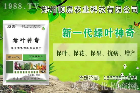 С���r���B�B�ϝq���F(xi��n)��һ������X��