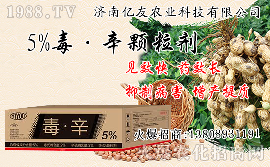 果樹(shù)秋栽和春栽有什么不同,果樹(shù)秋栽八大關(guān)鍵要點(diǎn)!