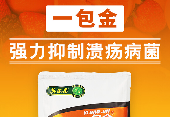 枯草芽孢桿菌-一包金-英爾果_01