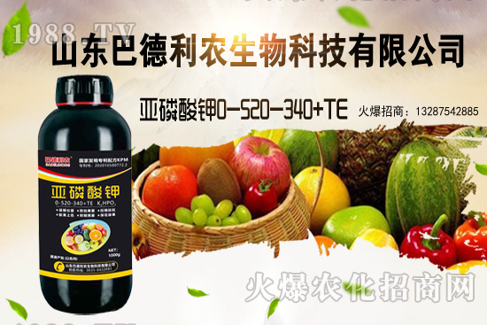 小麥價格能漲到多少錢一斤?部分地區(qū)價格行情!