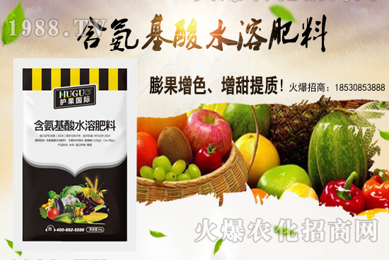 �|���m����ʲô����(ji��)���ࣿ�|������M�зNֲ��