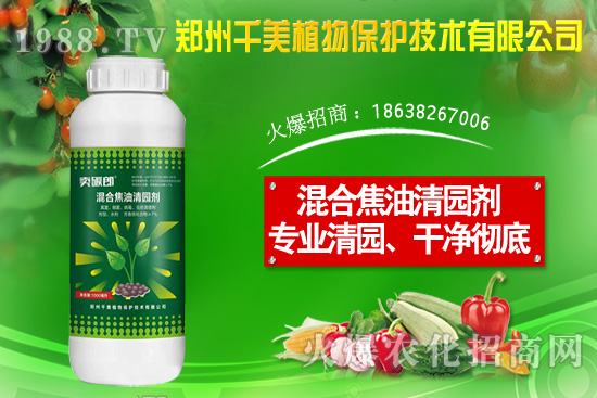 ���X�ݷN����ô�N�����X�ݷNֲ������B��