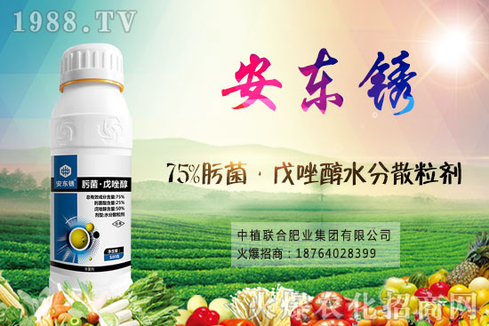 小麥價(jià)格后市將繼續(xù)漲？9月16日小麥價(jià)格走勢(shì)！