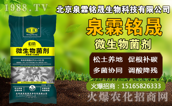 â��ʲô�r(sh��)�g�Nֲ��â���Nֲ��������ˮ�r(sh��)�ڣ�