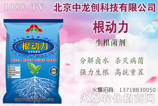 ���}���������������Щ�����}��ʩ�ʼ��g(sh��)Ҫ�c��