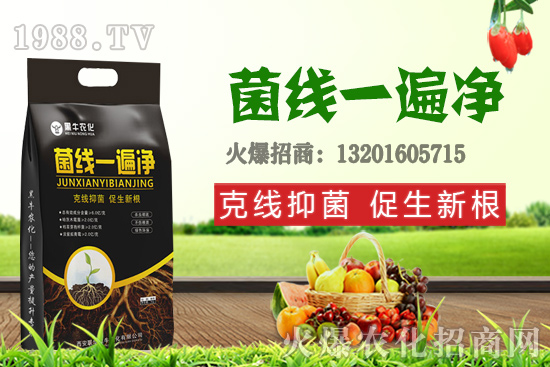 9��19��С���r(ji��)��������q�����F(xi��n)��