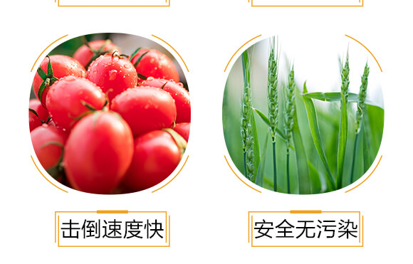 500ml�M(j��n)�ڌ��Ú�������-�ߵ�-�����r(n��ng)_06