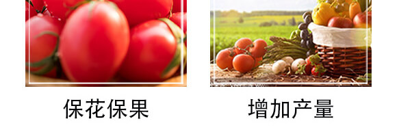 ���f�С�����b_06