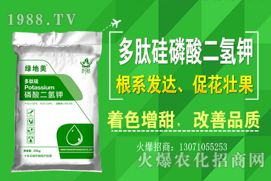 �۲˵ă�(y��u)��Ʒ�N����Щ���۲˷Nֲ���L(zh��ng)�h(hu��n)�������Nֲ���g(sh��)��