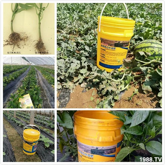 ˮ�ܷ��Ј�(ch��ng)��׃��������徫���~���׌�����������1000���Ñ��������]��