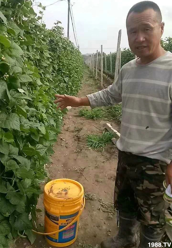 ˮ�ܷ��Ј�(ch��ng)��׃��������徫���~���׌�����������1000���Ñ��������]��