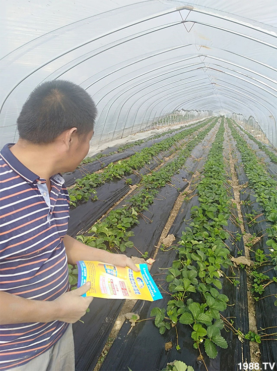 ˮ�ܷ��Ј�(ch��ng)��׃��������徫���~���׌�����������1000���Ñ��������]��