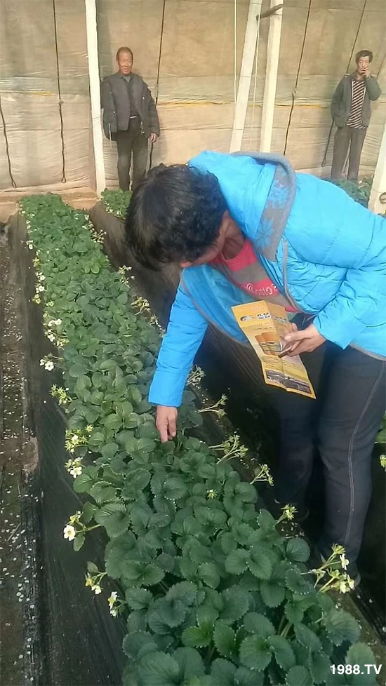 ˮ�ܷ��Ј�(ch��ng)��׃��������徫���~���׌�����������1000���Ñ��������]��