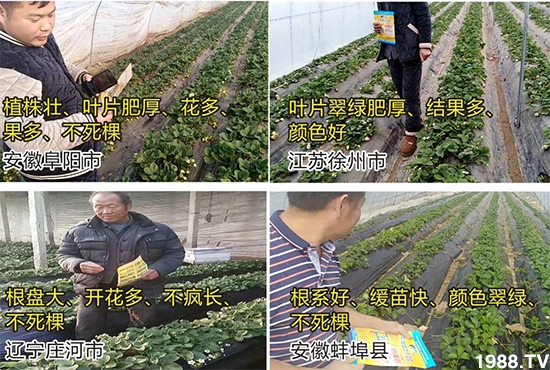 ˮ�ܷ��Ј�(ch��ng)��׃������徫���~���׌�����������1000���Ñ��������]��