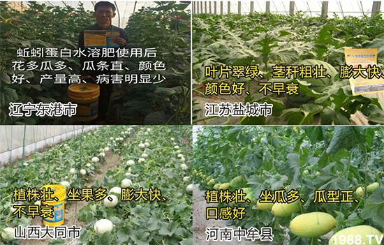 ˮ�ܷ��Ј�(ch��ng)��׃��������徫���~���׌�����������1000���Ñ��������]��