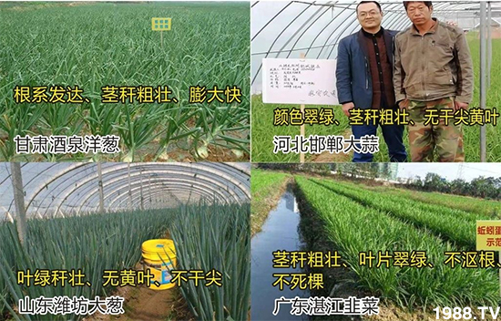 ˮ�ܷ��Ј�(ch��ng)��׃��������徫���~���׌��������棡1000���Ñ��������]��