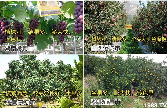 ˮ�ܷ��Ј�(ch��ng)��׃��������徫���~���׌�����������1000���Ñ��������]��