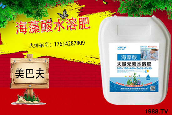 海藻肥具有哪些作用？與傳統(tǒng)肥料相比有何優(yōu)勢？