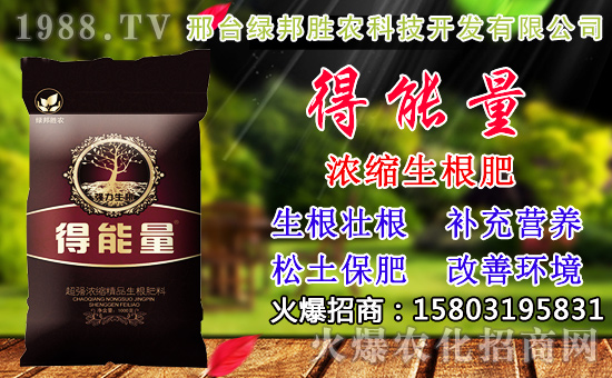 2020��С���N������x���߮a(ch��n)С��Ʒ�N����Щ��