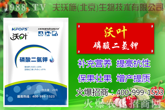 ���t��ժ�~����Щ��̎������ժ�~���g(sh��)��ע�����(xi��ng)��