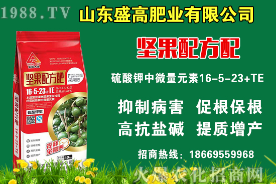 С���r(ji��)��߀Ҫ�ϝq����9��9�Շ�(gu��)��(n��i)С���r(ji��)�����飡