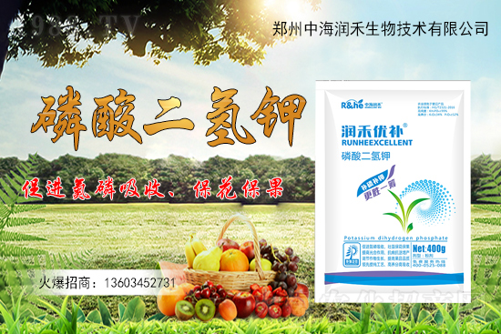 果樹一整年到底該怎么施肥?果樹施肥注意事項有哪些?