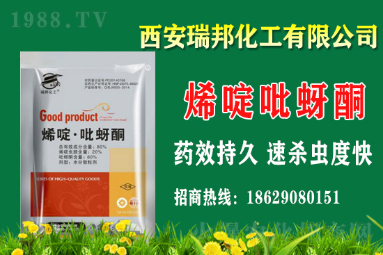 2021��2��20���ݚ��x(ch��ng)���r(ji��)������