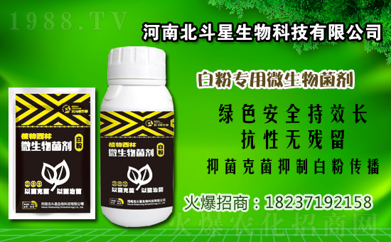 己唑醇?xì)⒕鷦﹥r(jià)格走勢2021年2月28