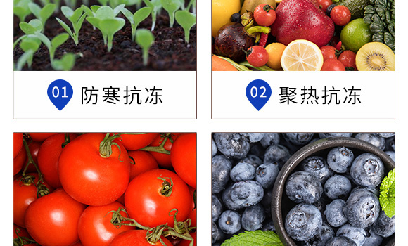 ֲ�￹��������-Ӣ���~��(r��n)_06