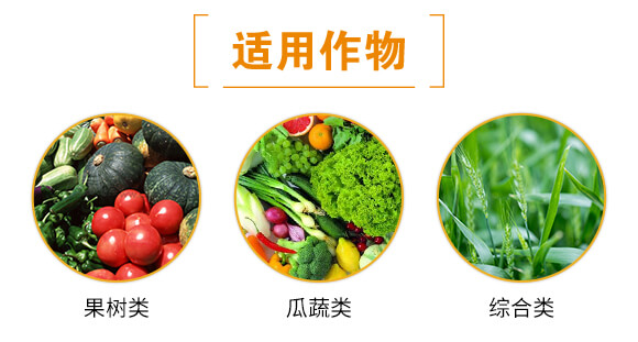 綠葉型深海魚蛋白-貝多豐_04