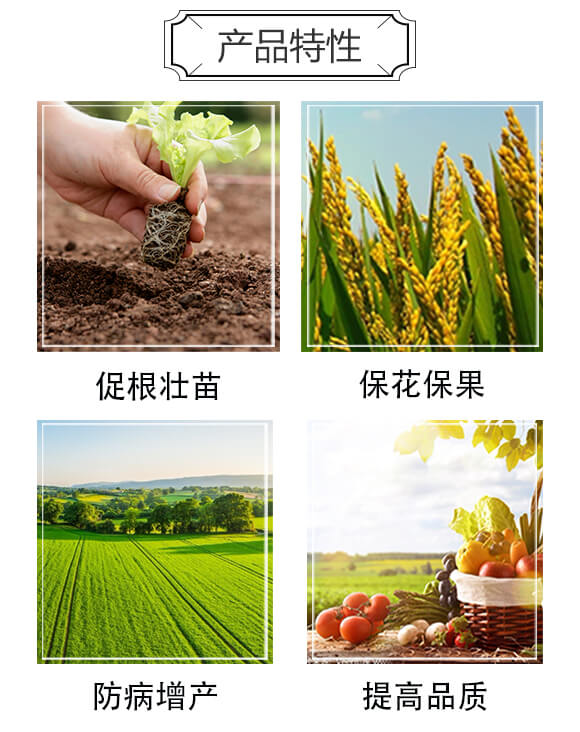 ���365-��С��-�����r(n��ng)�I(y��)_03