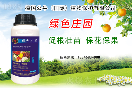 草莓著色不良到底是哪些原因？草莓著色不良又該如何避免？