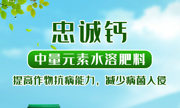 �ЙC(j��)ˮ�ܷ���-���\(ch��ng)�V-�����r(n��ng)_01