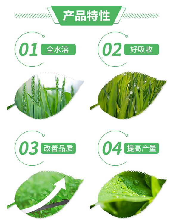 ��(f��)�����27-16-10+6-����(l��)�S_02