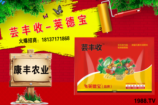 小麥高產(chǎn)套餐能解決小麥哪些問題？小麥高產(chǎn)套餐使用方法!