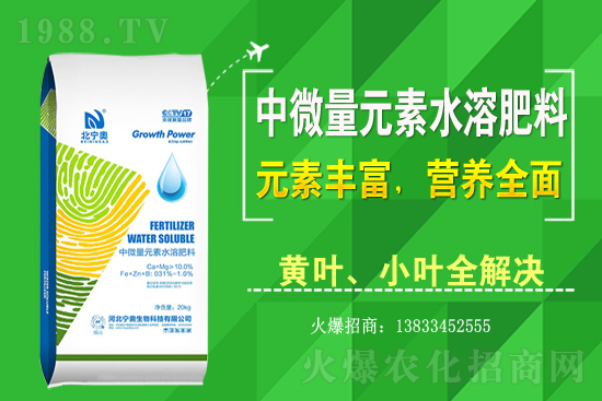 黃花菜該怎么種植？黃花菜種植過程需注意哪些問題？