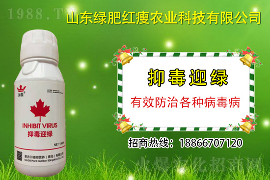 ���β�������Ҳ���ðΣ����ֶ�ӭ�G�����β�������