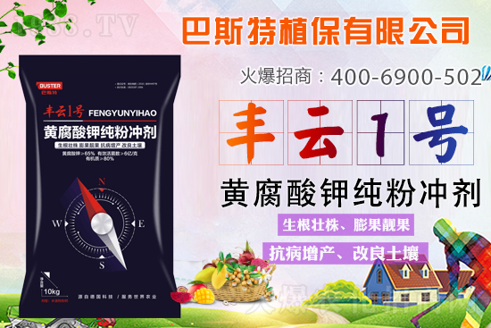 新品上市，定金翻倍！1000定金抵2000，超值優(yōu)惠，限時搶定...