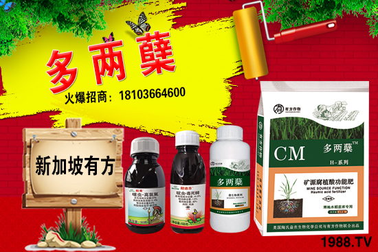 2021葡萄柚種植前景如何？葡萄柚和普通柚子有何區(qū)別？