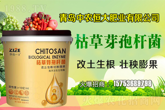 �ݲ�ѿ�ߗU������ǡ����С������ݲ�ѿ�ߗU�����w�������˽����