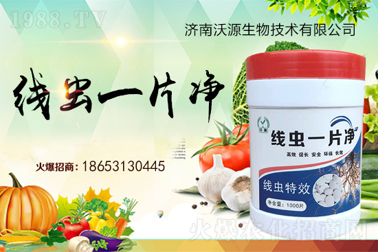 根結(jié)線蟲難防治，專治線蟲“線蟲一片凈”