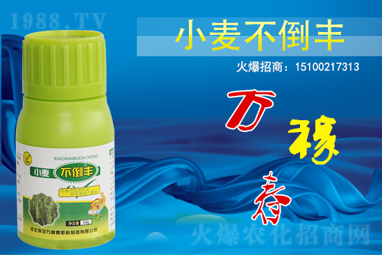 С��������ô����߀������С�������S!